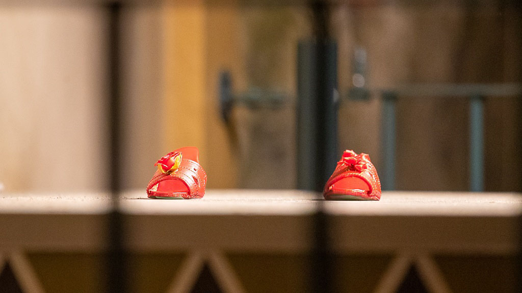 De Rode Schoentjes