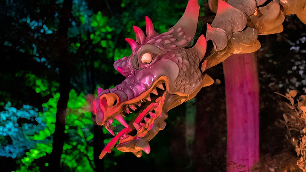 Draak Lichtgeraakt