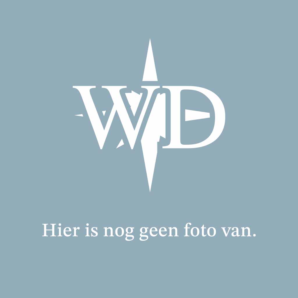 Nieuwste Efteling-attractie Hooghmoed opent 1 mei
