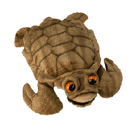 Pluchen Zeeschildpad Aura
