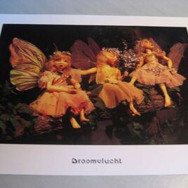 Postkaart Droomvlucht