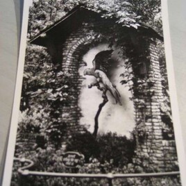 Postkaart
