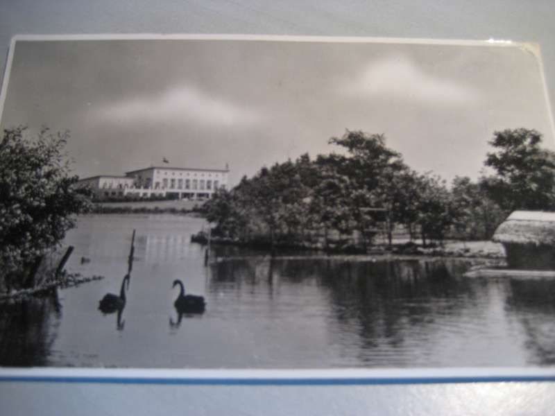 Postkaart